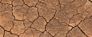 乾裂地表; dry earth