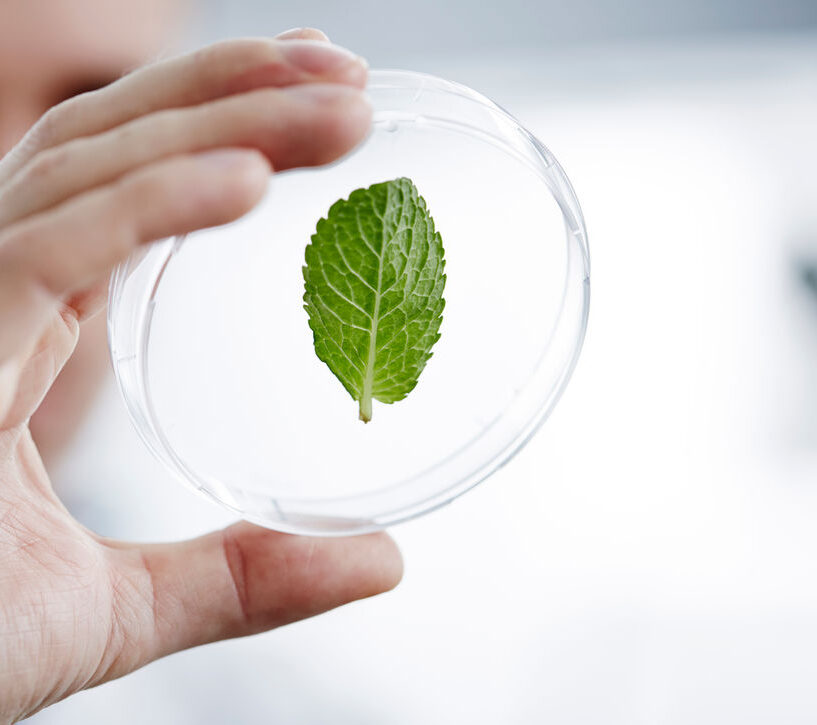 Sustainability driving business success